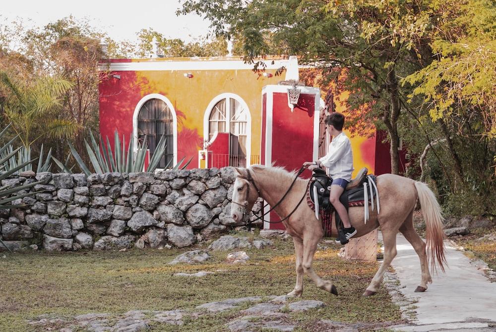 Hotel Hacienda Ticum Ekmul Extérieur photo